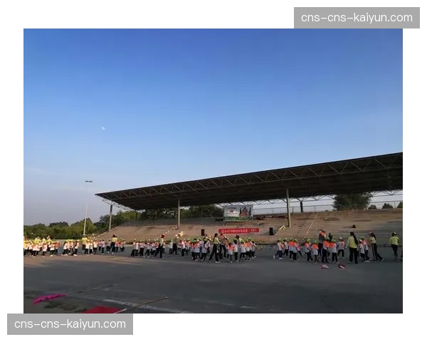 教育机构合作开发课程内容，拓展体育内容知识价值。